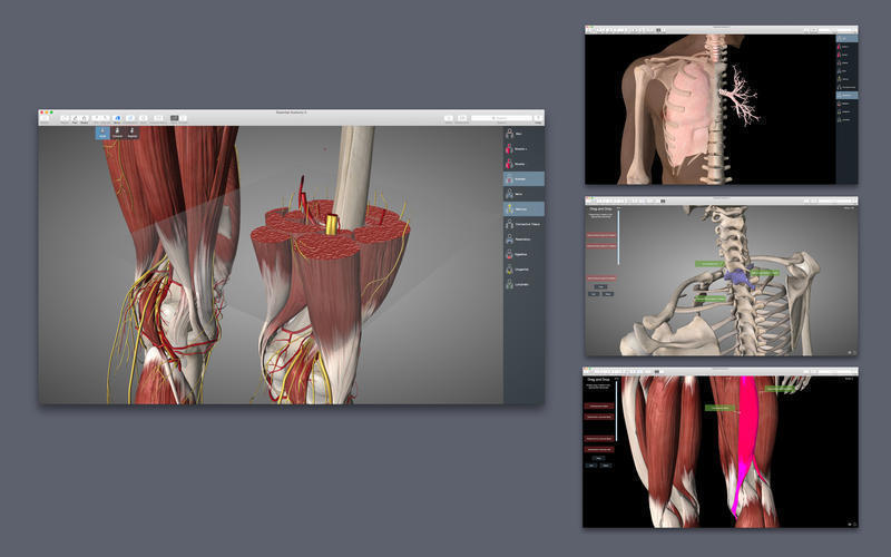 learning anatomy app for mac